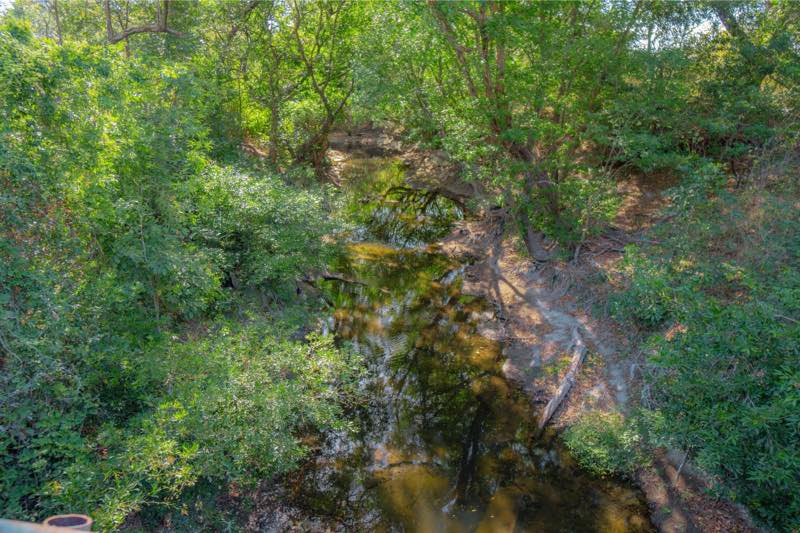El río visto desde arriba, entre el bosque verde que lo rodea